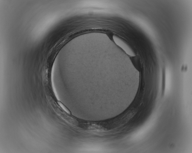 X0000110890387200907301547