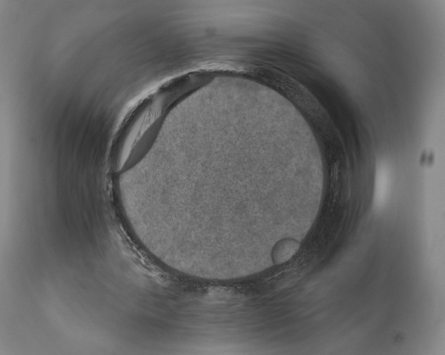 X0000110890388200907301547