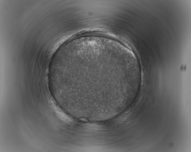 X0000110890389200907301547