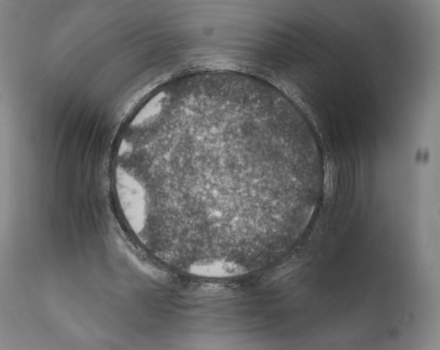 X0000110890390200907301547