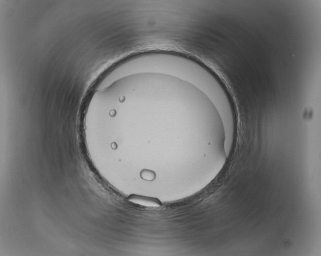 X0000110890391200907301547