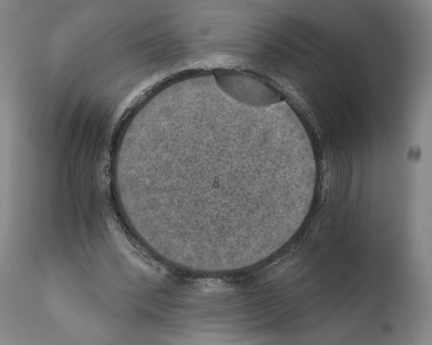 X0000110890392200907301547