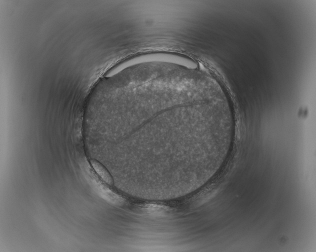 X0000110890393200907301547