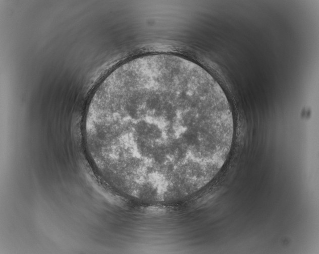 X0000110890394200907301547