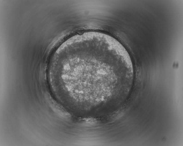 X0000110890395200907301547