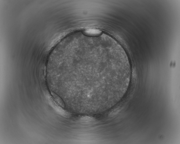 X0000110890397200907301547