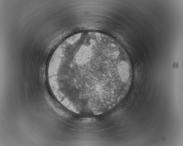 X0000110890398200907301547