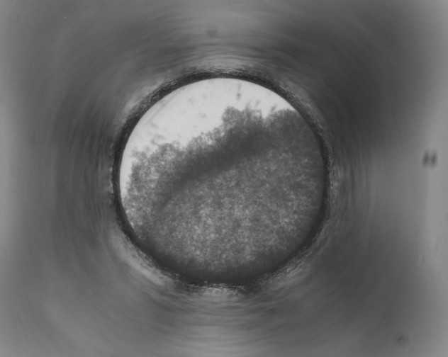 X0000110890399200907301547
