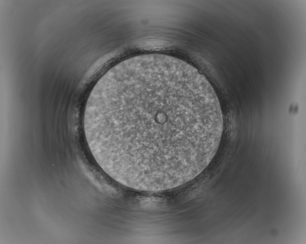 X0000110890400200907301547