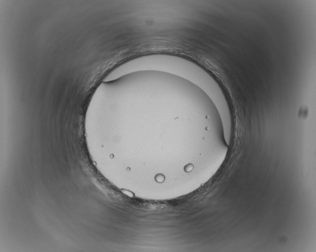 X0000110890401200907301547