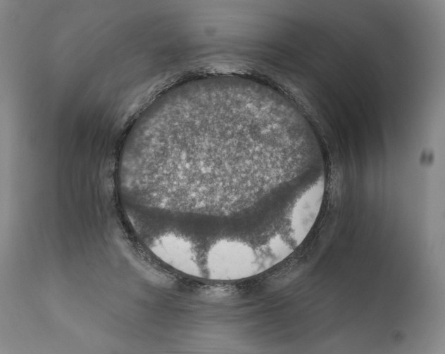 X0000110890402200907301547