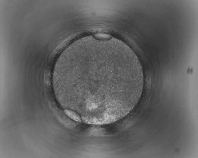 X0000110890403200907301547