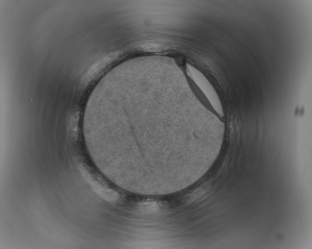 X0000110890404200907301547