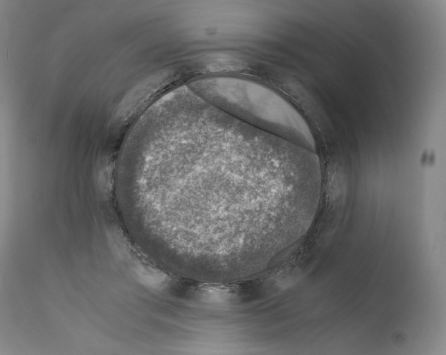 X0000110890405200907301547