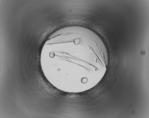 X0000110890407200907301547