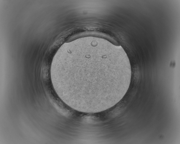 X0000110890408200907301547