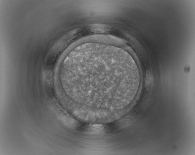 X0000110890409200907301547