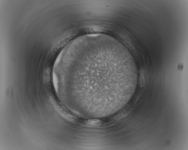 X0000110890410200907301547