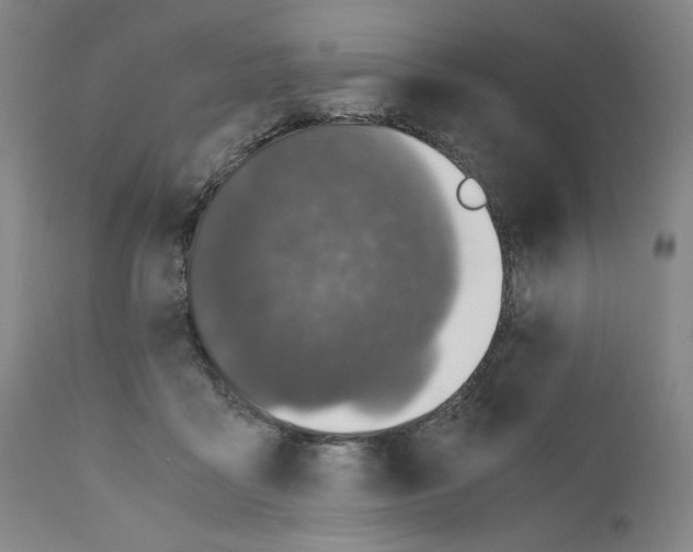 X0000110890411200907301547
