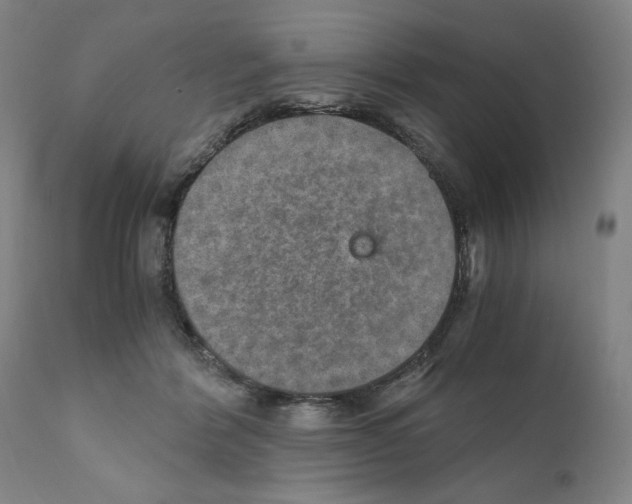 X0000110890412200907301547