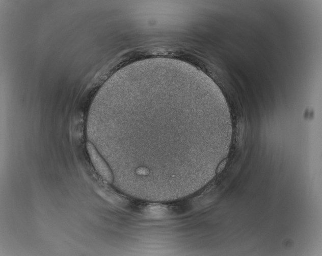X0000110890413200907301547