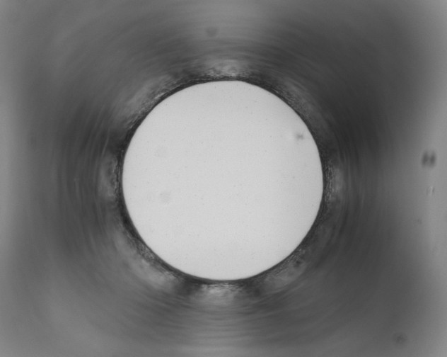 X0000110890414200907301547