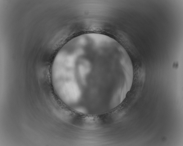 X0000110890415200907301547