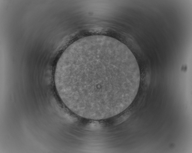 X0000110890416200907301547