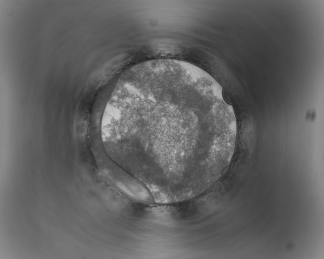 X0000110890417200907301547
