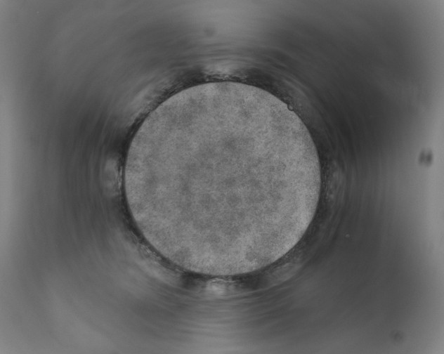 X0000110890420200907301547