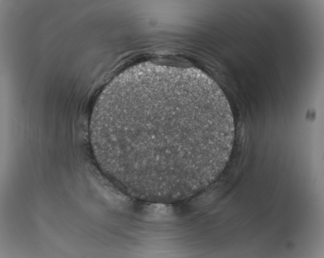 X0000110890421200907301547
