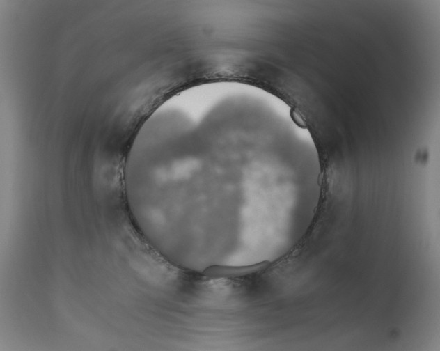 X0000110890423200907301547