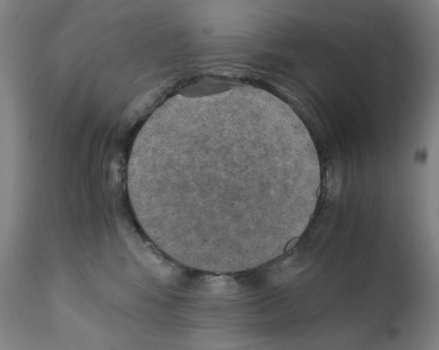 X0000110890424200907301547