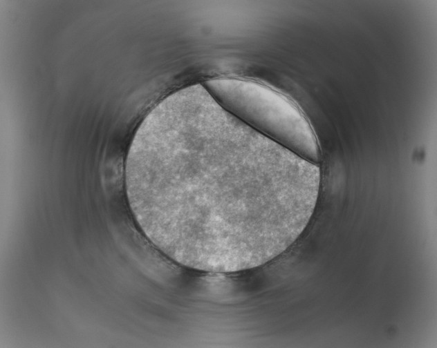 X0000110890425200907301547