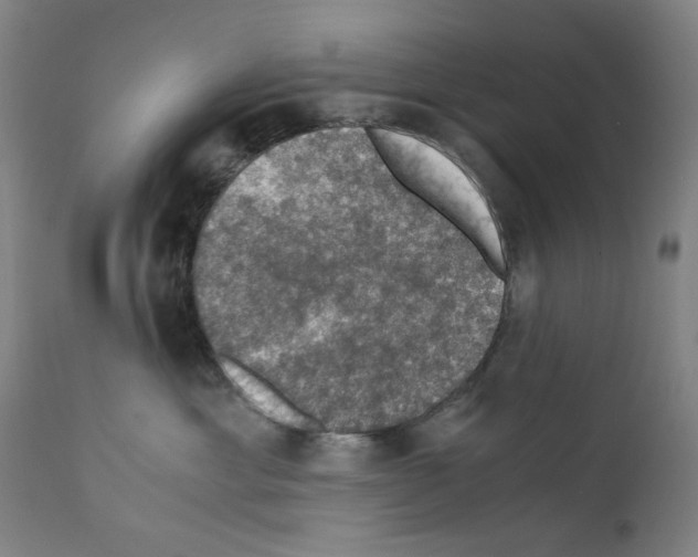 X0000110890429200907301547