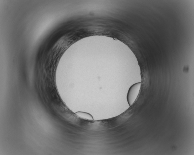 X0000110890430200907301547