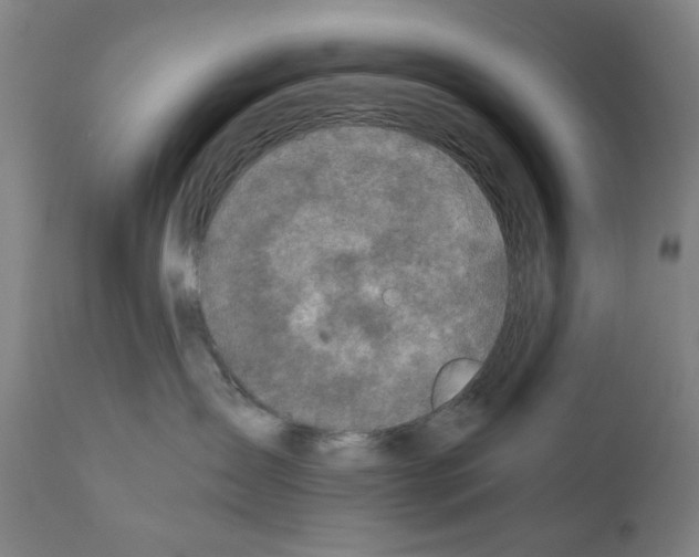 X0000110890431200907301547