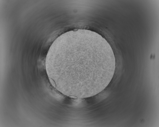 X0000110890432200907301547