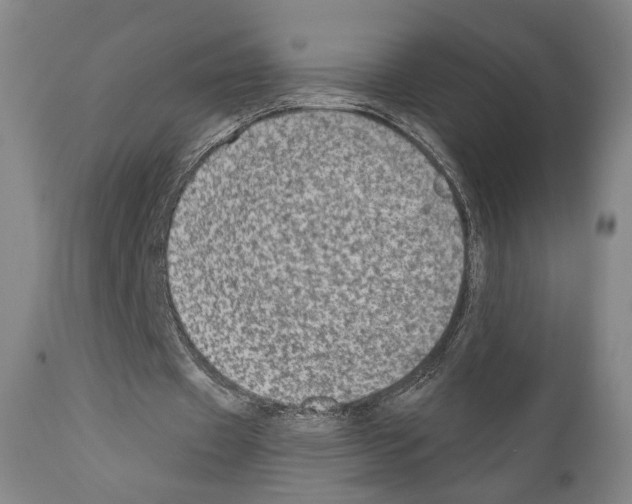 X0000110890433200907301546
