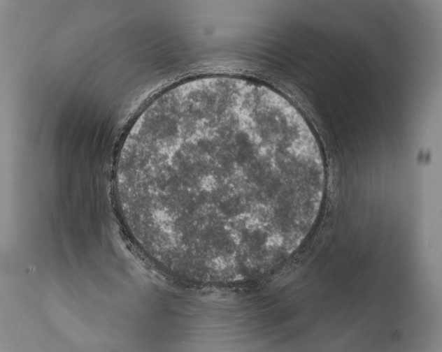 X0000110890434200907301546