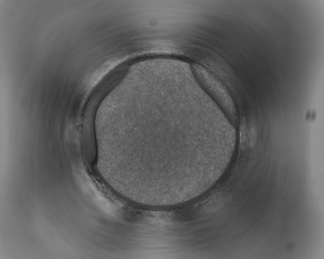 X0000110890436200907301546