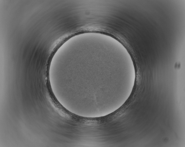 X0000110890438200907301546