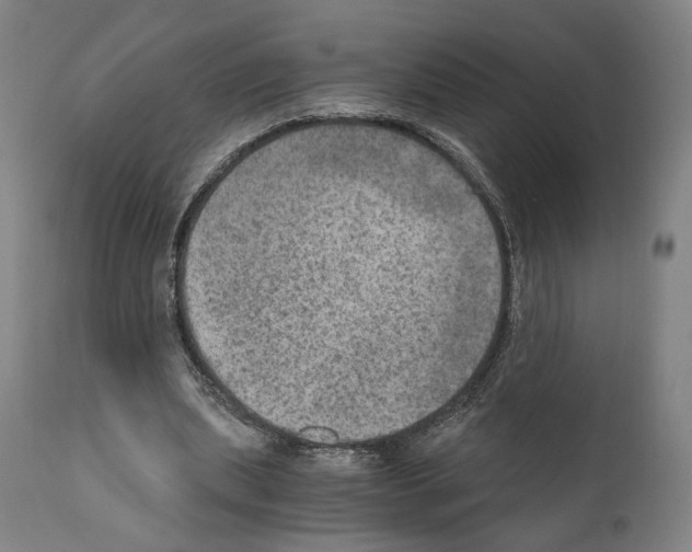 X0000110890439200907301546