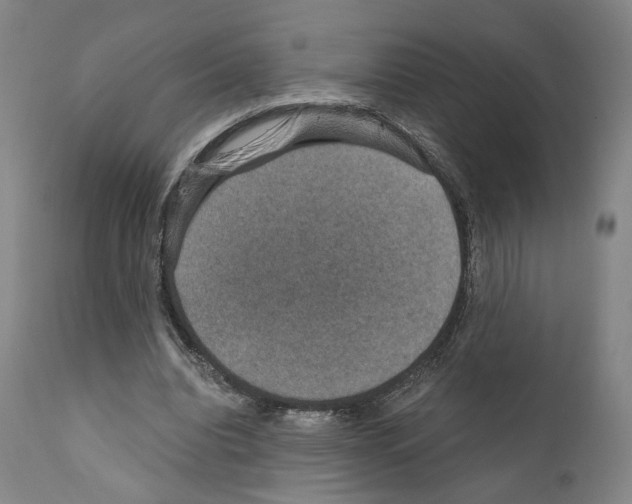 X0000110890440200907301546