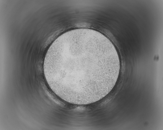 X0000110890441200907301546