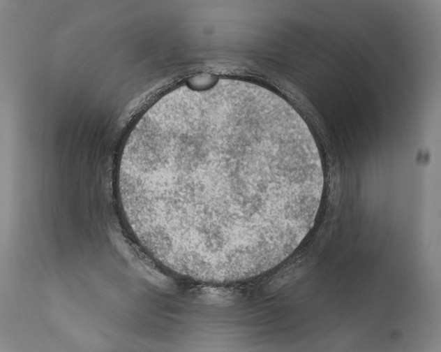 X0000110890442200907301546