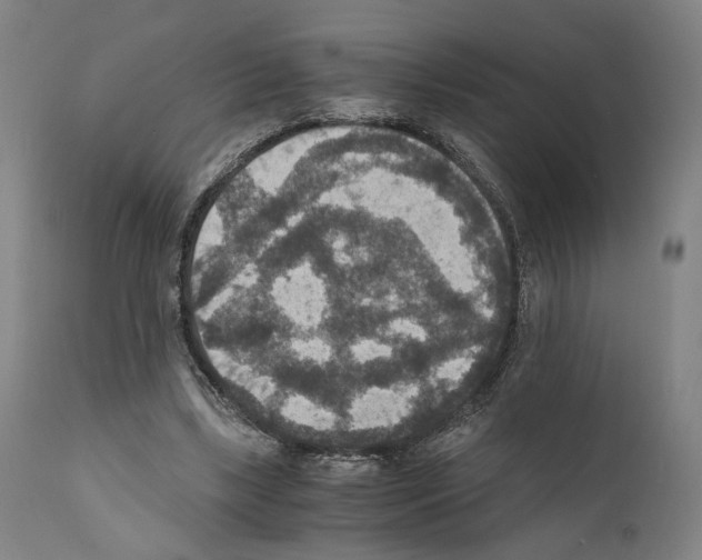 X0000110890443200907301546