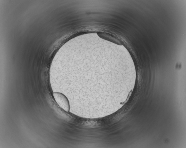 X0000110890445200907301546