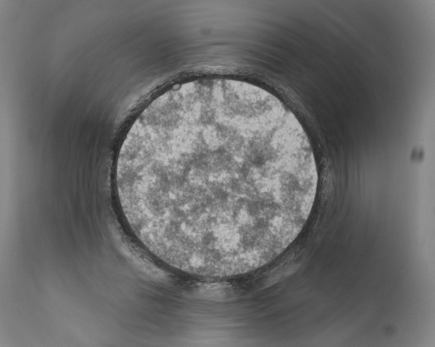 X0000110890446200907301546