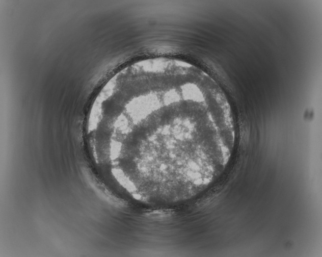 X0000110890447200907301546